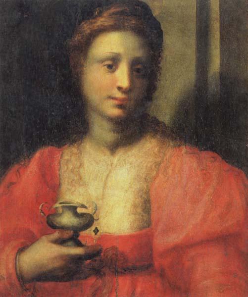 PULIGO, Domenico Portrait of a Woman Dressed as Mary Magdalen France oil painting art